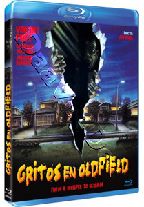 From a Whisper to a Scream | The Offspring  |   Blu-Ray
